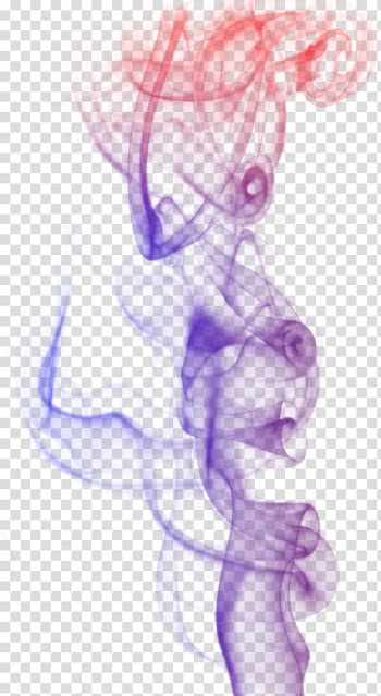BBCode , others transparent background PNG clipart