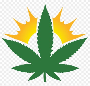 Bcbud Store - Weed Leaf Design