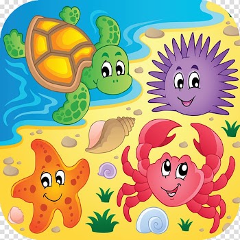 Beach Aquatic animal , sea animals transparent background PNG clipart