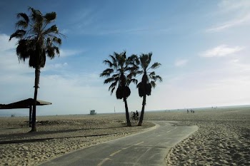 Beach Bike Path