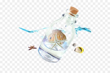 Beach Bottle Seashell - Sea elements 