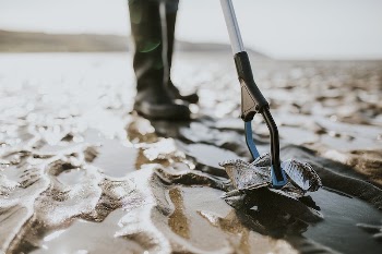Beach cleanup volunteers picking up trash | Free Photo - rawpixel