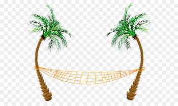 Beach Clip art - Transparent Palm Beach Hammock PNG Clipart 