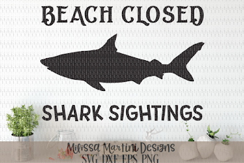 Beach Closed Shark Sightings