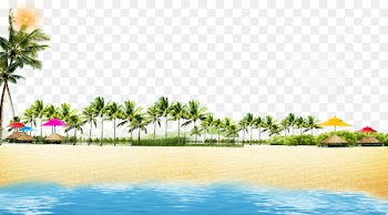 Beach Coast Poster - Summer beach coconut grove play background 