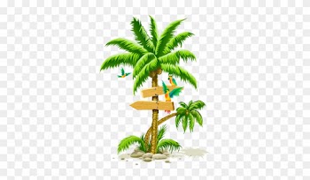Beach Coconut Tree Png