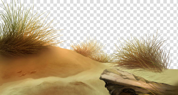 Beach Download Png