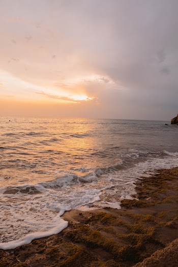 Beach During Golden Hour