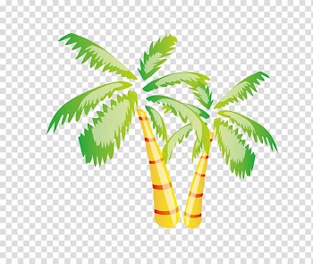 Beach Euclidean , coconut tree transparent background PNG clipart