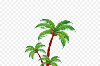 Beach Holiday Clip art - Coconut tree cartoons 