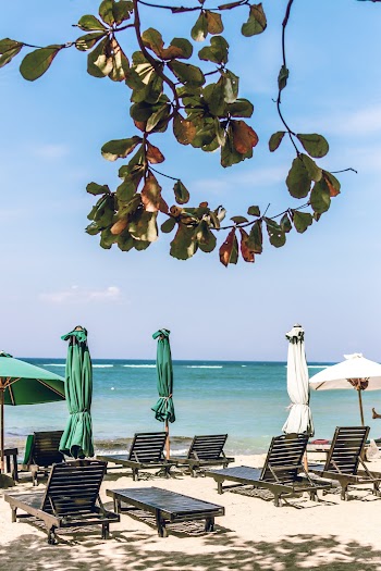 Beach Lounge Chairs And Umbrellas By The Seashore 
