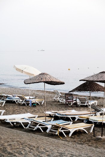 Beach Loungers