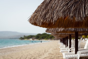 Beach Loungers under Thatches by the Sea