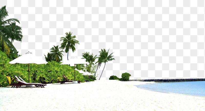 Beach png collage, beautiful scenery, | Free PNG - rawpixel