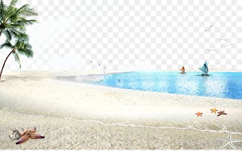 Beach Poster Accommodation - Beach ocean background 