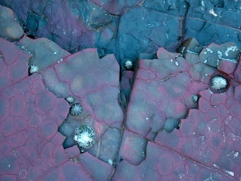 beach_rock2.jpg