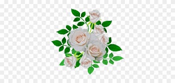 Beach Rose