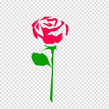 Beach rose Euclidean Flower, Hand-painted roses transparent background PNG clipart
