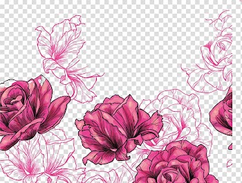 Beach rose Euclidean Flower, Purple Rose, pink flowers illustration transparent background PNG clipart