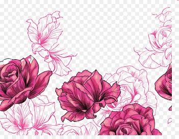 Beach rose Euclidean vector Flower - Purple Rose 