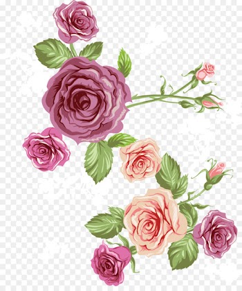 Beach rose Euclidean vector Flower - Vector rose pink roses sea 