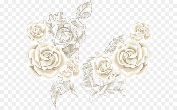 Beach rose Flower Clip art - White roses roses background vector sea 