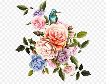 Beach rose Flower Euclidean vector - Flowers and birds 