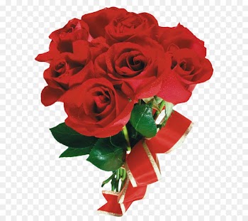 Beach rose Flower Nosegay Red Illustration - Romantic holiday gift roses 