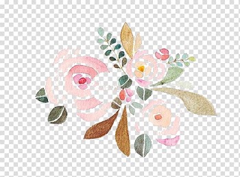 Beach rose Flower Pink, flower transparent background PNG clipart