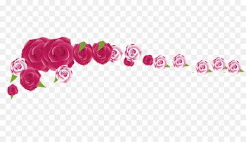 Beach rose Flower Red - A row of roses 