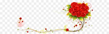 Beach rose Flower - Red roses flowers with vines 