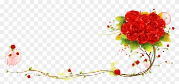 Beach Rose Flower - Rose