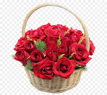 Beach rose Flower - Rose flower basket 