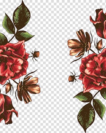 Beach rose Flower Watercolor painting, Watercolor peony transparent background PNG clipart