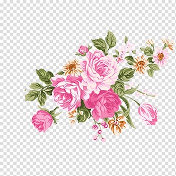 Beach rose Flower Watercolor painting, watercolour flower transparent background PNG clipart