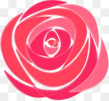 Beach rose Garden roses Euclidean vector White - White roses 