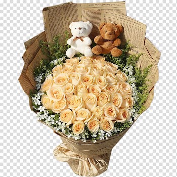 Beach rose Garden roses Gift Nosegay Flower, Winnie Rose transparent background PNG clipart