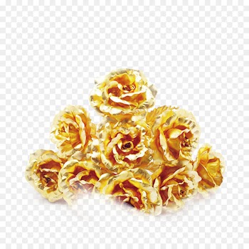 Beach rose Gold Wedding - Golden Rose 
