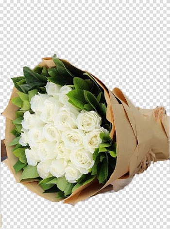 Beach rose Packaging and labeling Nosegay, White roses round package transparent background PNG clipart