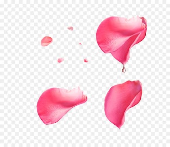 Beach rose Pearly Mini Bowling Petal - Petal droplets pattern elements 