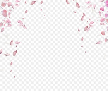 Beach rose Petal Brush - Rose petals floating material 