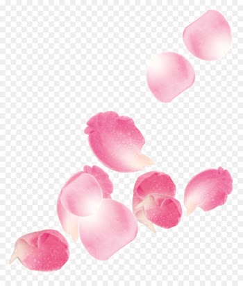 Beach rose Petal Flower - Pink falling rose petal wedding 