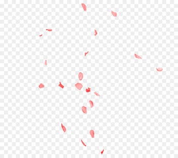 Beach rose Petal Pink - Rose petal 
