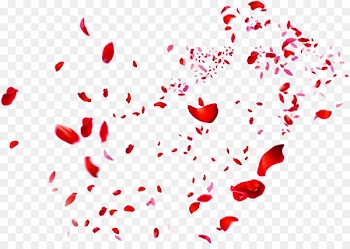 Beach rose Petal Red Heart - Scattered red rose petals 