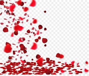 Beach rose Petal - Rose petals floating material 
