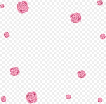 Beach rose Pink Flower - Creative pink roses sea 