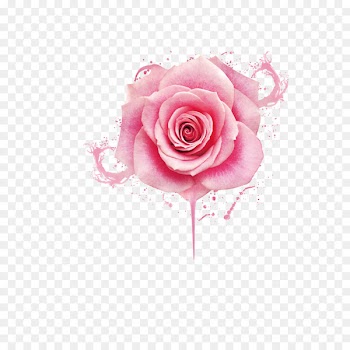 Beach rose Pink Nail polish Gel nails - Beautiful pink peony flower drops 