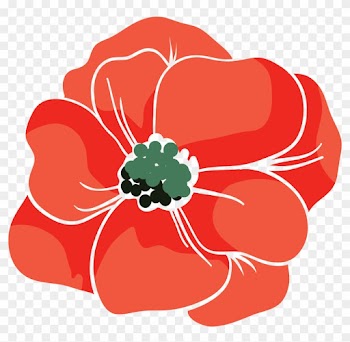 Beach Rose Red Poppy Euclidean Vector - Rose