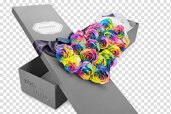 Beach rose Romance Qixi Festival Girlfriend Blomsterbutikk, 19 Colorful gift boxes transparent background PNG clipart