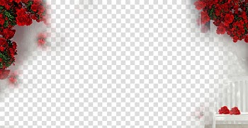 Beach rose, Rose background transparent background PNG clipart